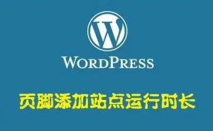 WordPress纯代码给博客添加运行天数代码-乐读吧